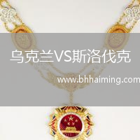 烏克蘭VS斯洛伐克