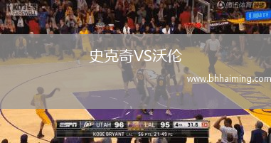 史克奇VS沃倫