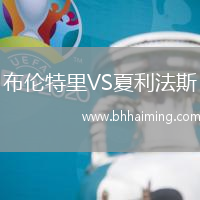 布倫特里VS夏利法斯