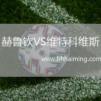 赫魯欽VS維特科維斯