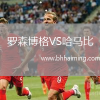 羅森博格VS哈馬比