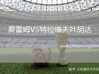 夏雷姆VS特拉維夫葉胡達