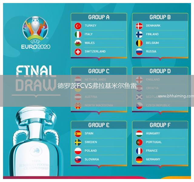 德羅茨FCVS弗拉基米爾魚雷