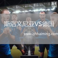 斯洛文尼亞VS德國