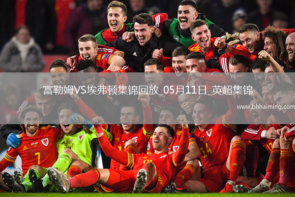 英超-米科連科破門埃弗頓客場(chǎng)3-1逆轉(zhuǎn)富勒姆