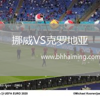 挪威VS克羅地亞