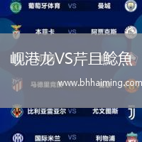 峴港龍VS芹且鯰魚