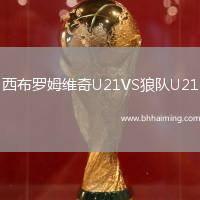 西布羅姆維奇U21VS狼隊U21