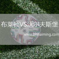 布萊頓VS沃爾夫斯堡