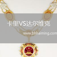 卡里VS達爾維克