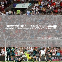 波茲南波蘭IIVSKS利普諾