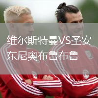 維爾斯特曼VS圣安東尼奧布魯布魯