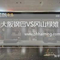 大阪鋼巴VS岡山綠雉