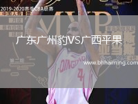 廣東廣州豹VS廣西平果