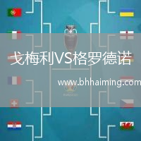 戈梅利VS格羅德諾