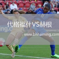 代格福什VS赫根