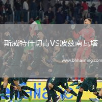 斯威特什切青VS波茲南瓦塔