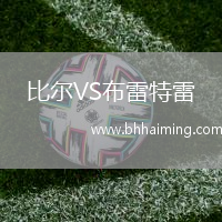 比爾VS布雷特雷