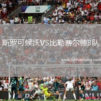 斯羅可候沃VS比勒費(fèi)爾德B隊(duì)