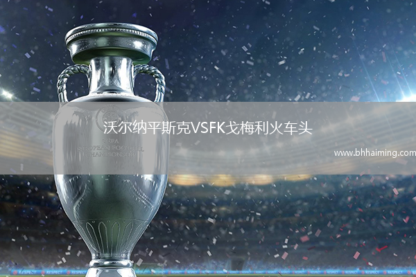 沃爾納平斯克VSFK戈梅利火車(chē)頭