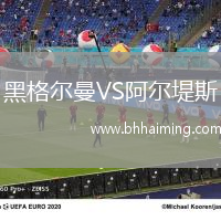 黑格爾曼VS阿爾堤斯