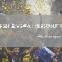 多姆扎勒VS盧布爾雅那奧林匹亞