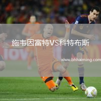 施韋因富特VS科特布斯