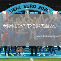 禾斯貝治VS韋伯多夫圣安那