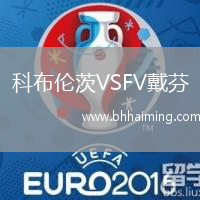 科布倫茨VSFV戴芬