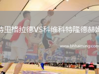 特里格拉德VS科維科特隆德赫姆