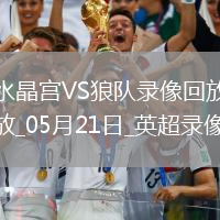英超第37輪水晶宮4-2狼隊