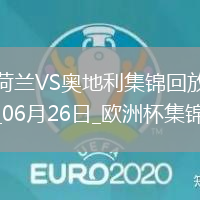 06月26日歐洲杯小組賽D組第3輪荷蘭vs奧地利進球視頻