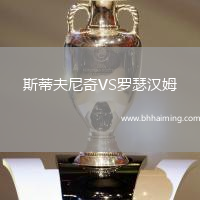 斯蒂夫尼奇VS羅瑟漢姆