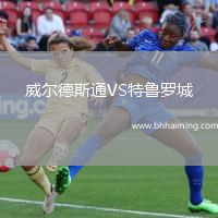 威爾德斯通VS特魯羅城
