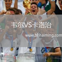 韋爾VS卡洛治