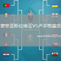 索非亞斯拉維亞VS盧多格雷茨