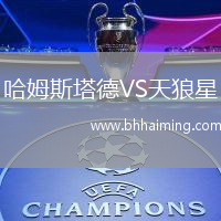 哈姆斯塔德VS天狼星