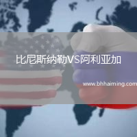 比尼斯納勒VS阿利亞加
