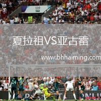 夏拉祖VS亞古雷