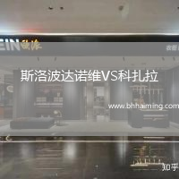 斯洛波達諾維VS科扎拉