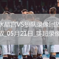 英超第37輪水晶宮4-2狼隊