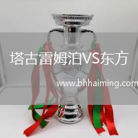 塔古雷姆泊VS東方