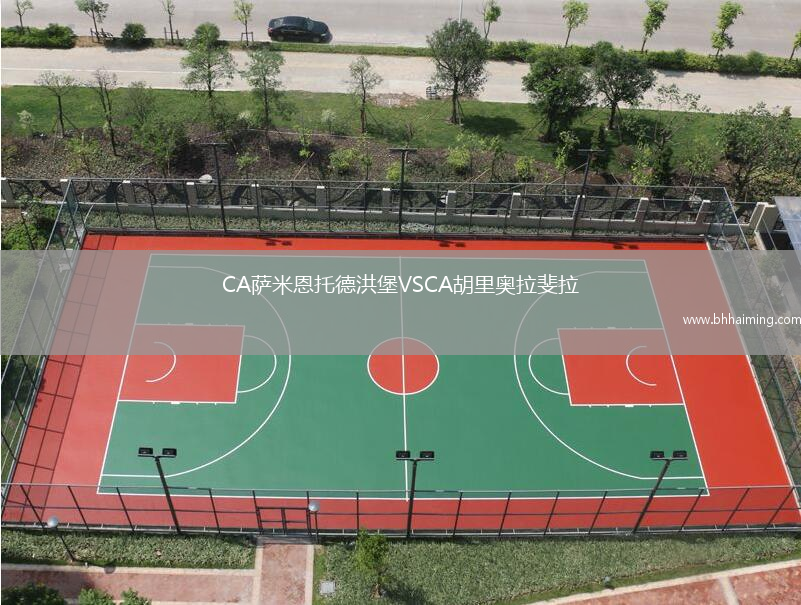 CA薩米恩托德洪堡VSCA胡里奧拉斐拉