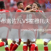 布雷佐瓦VS霍穆托夫