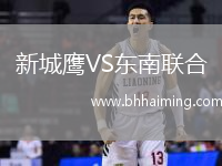 新城鷹VS東南聯合