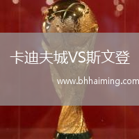 卡迪夫城VS斯文登