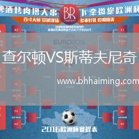 查爾頓VS斯蒂夫尼奇