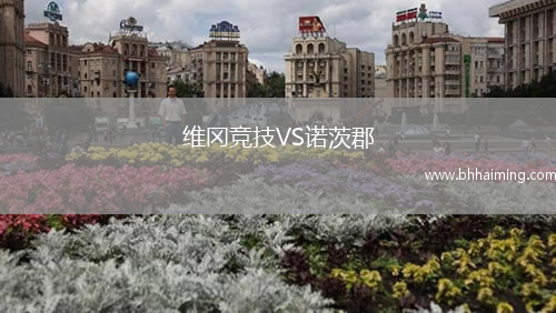 維岡競技VS諾茨郡