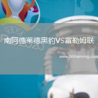南阿德萊德黑豹VS富勒姆聯(lián)