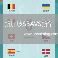 新加坡SBAVS新華